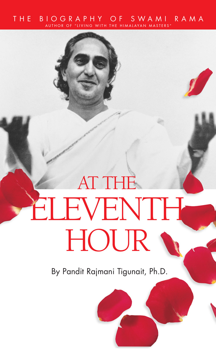 AT THE ELEVENTH HOUR also by PANDIT RAJMANI TIGUNAIT PhD BOOKS The Pursuit - photo 3