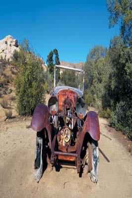 rusting jalopy in Joshua Tree cholla cactus a desert garden - photo 5