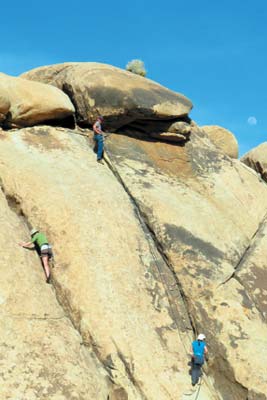 rock climbing in Joshua Tree giant saguaro cactus Where to Go Palm - photo 12