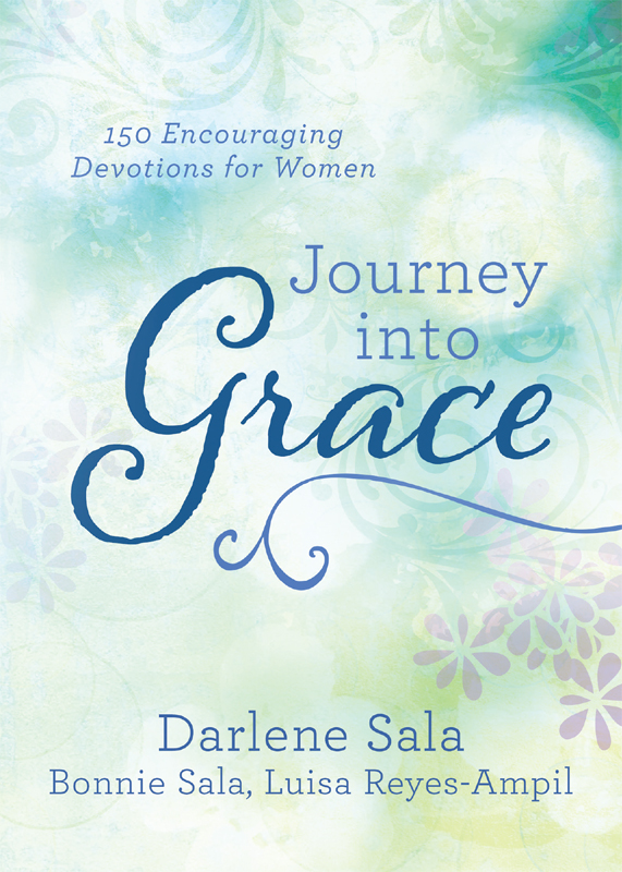 Praise for Journey into Grace Food for the journey we all need to pack a - photo 1