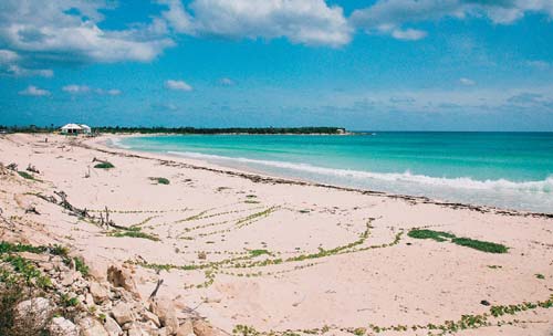 All around Isla Cozumel the Caribbean Sea glitters a hundred shades of blue - photo 9