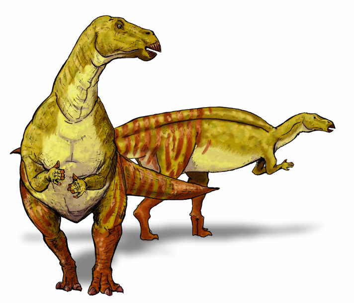 The Nanyongosaurus was aherbivore a plant eating dinosaur that lived in the - photo 8