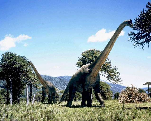 One thing that makesdinosaurs so interesting is their huge size Some dinosaurs - photo 3