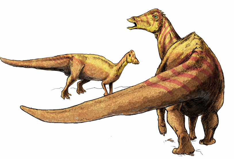 The Nipponosaurus was knownas the Japanese Lizard because it lived in Asia in - photo 14