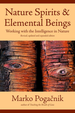 Marko Pogacnik - Nature Spirits & Elemental Beings: Working with the Intelligence in Nature