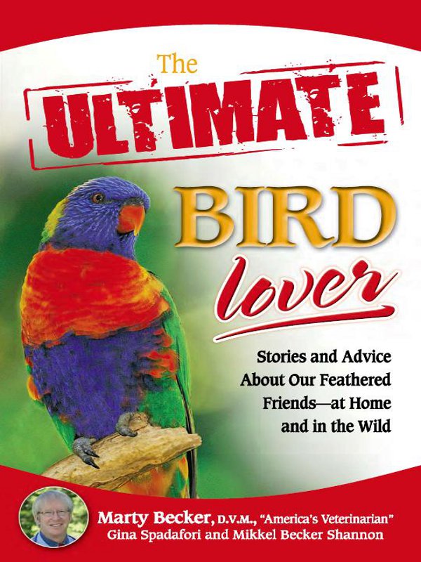 The Ultimate Bird Lover Stories and Advice on Our Feathered Friends at Home and in the Wild - photo 1