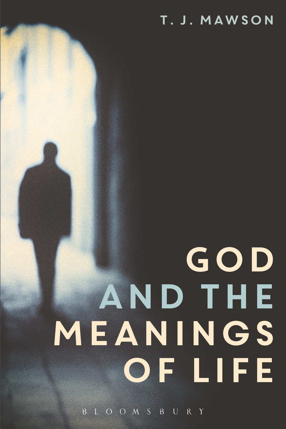 GOD AND THE MEANINGS OF LIFE Also available from Bloomsbury FREE WILL A - photo 1