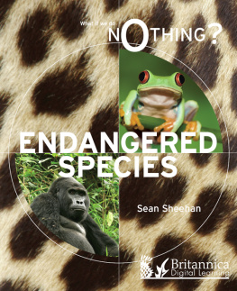 Sean Sheehan - Endangered Species