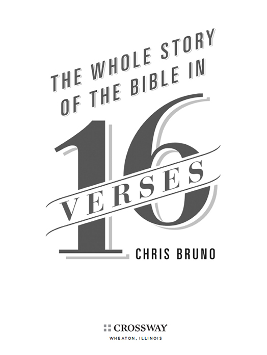 The Whole Story of the Bible in 16 Verses Copyright 2015 by Christopher R - photo 1