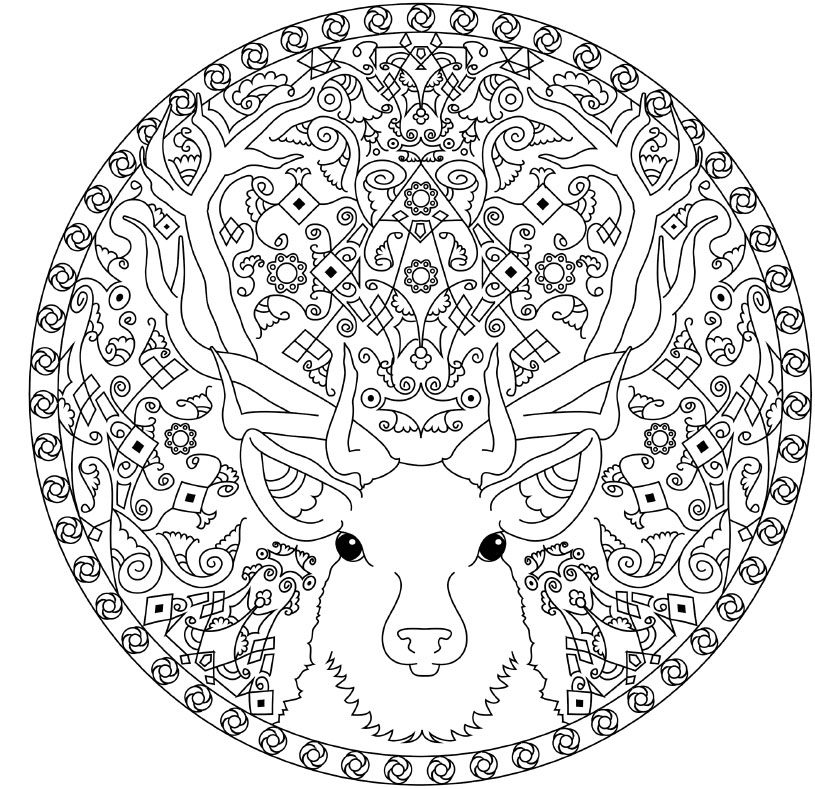 Coloring Animal Mandalas - photo 21