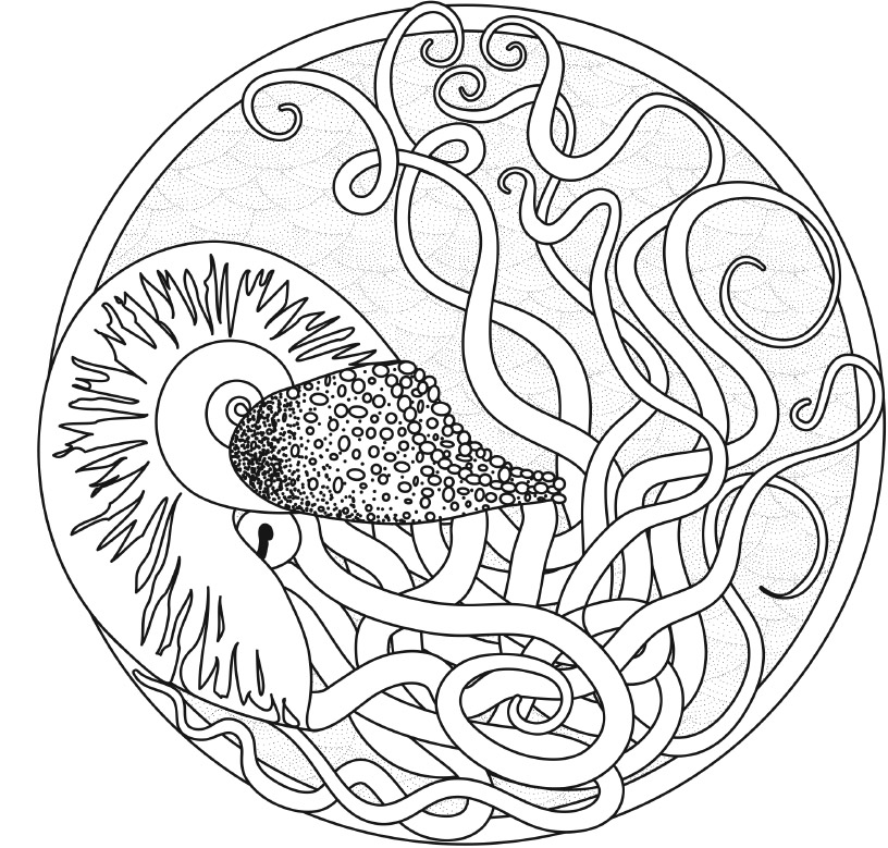 Coloring Animal Mandalas - photo 53