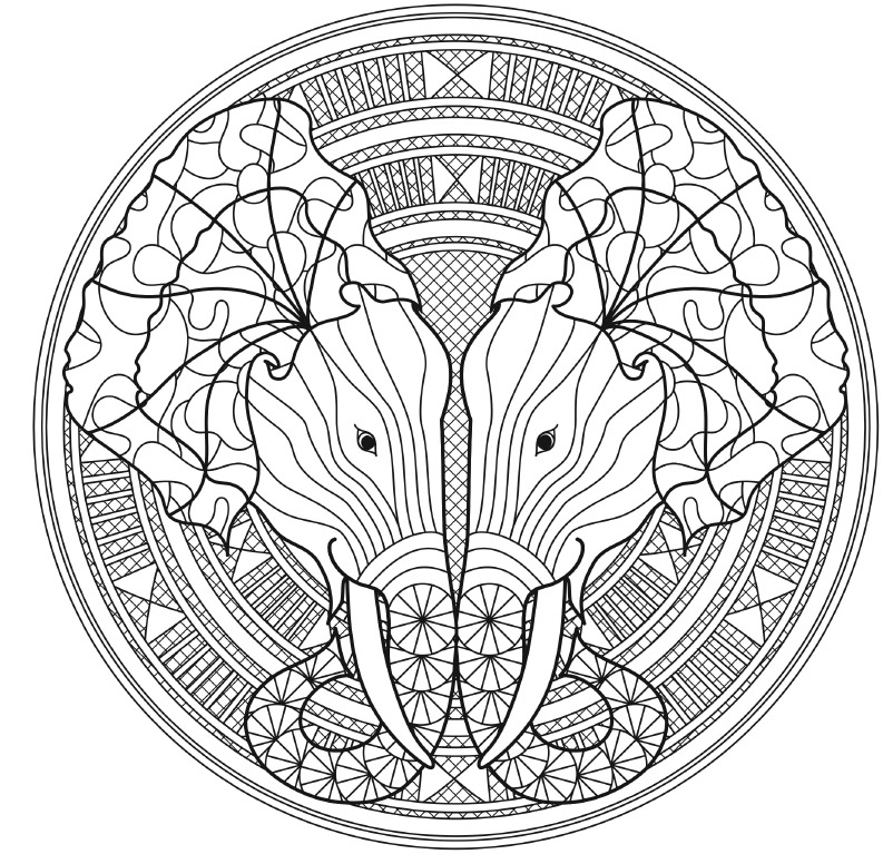 Coloring Animal Mandalas - photo 17