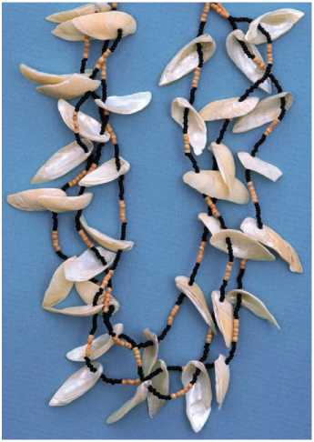 Like the Tongva the Chumash used seashells to make jewelry The Native - photo 8