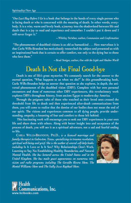 Carla Wills-Brandon One Last Hug Before I Go: The Mystery and Meaning of Deathbed Visions