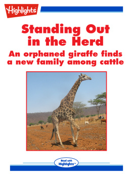 Cecil Dzwowa - Standing Out in the Herd