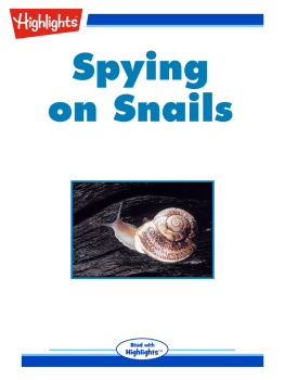 Ilil Arbel - Spying on Snails