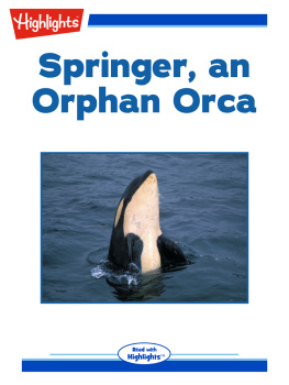 Sharlene P. Nelson - Springer, an Orphan Orca