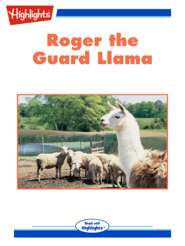 Connie Goldsmith - Roger the Guard Llama