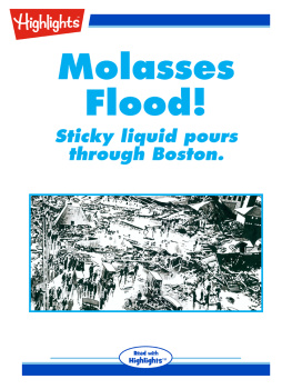 Carla Joinson - Molasses Flood!