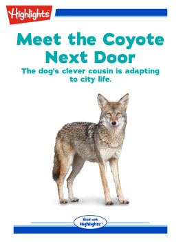 Andy Boyles Meet the Coyote Next Door