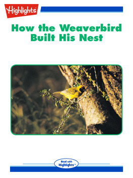 George W. Frame - How the Weaverbird Built His Nest