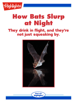 Alison Pearce Stevens How Bats Slurp at Night