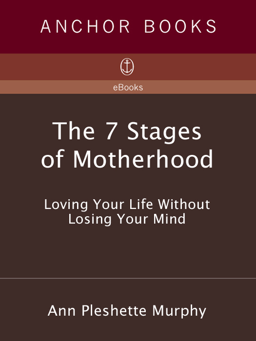 Acclaim for Ann Pleshette Murphys The 7 Stages of Motherhood If Murphys - photo 1