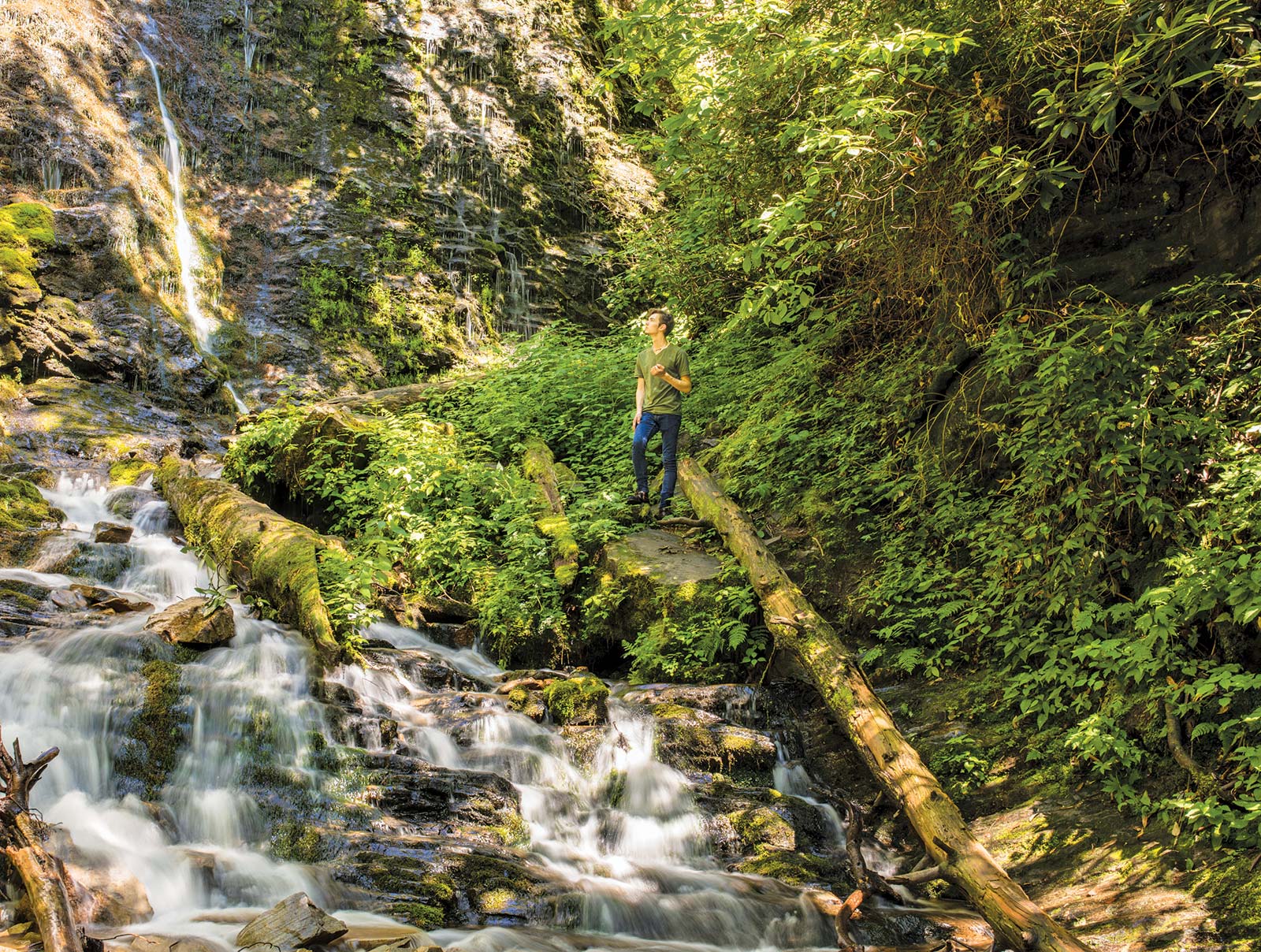 in the Smokies The best way to explore the woods peaks and waterfalls in The - photo 5