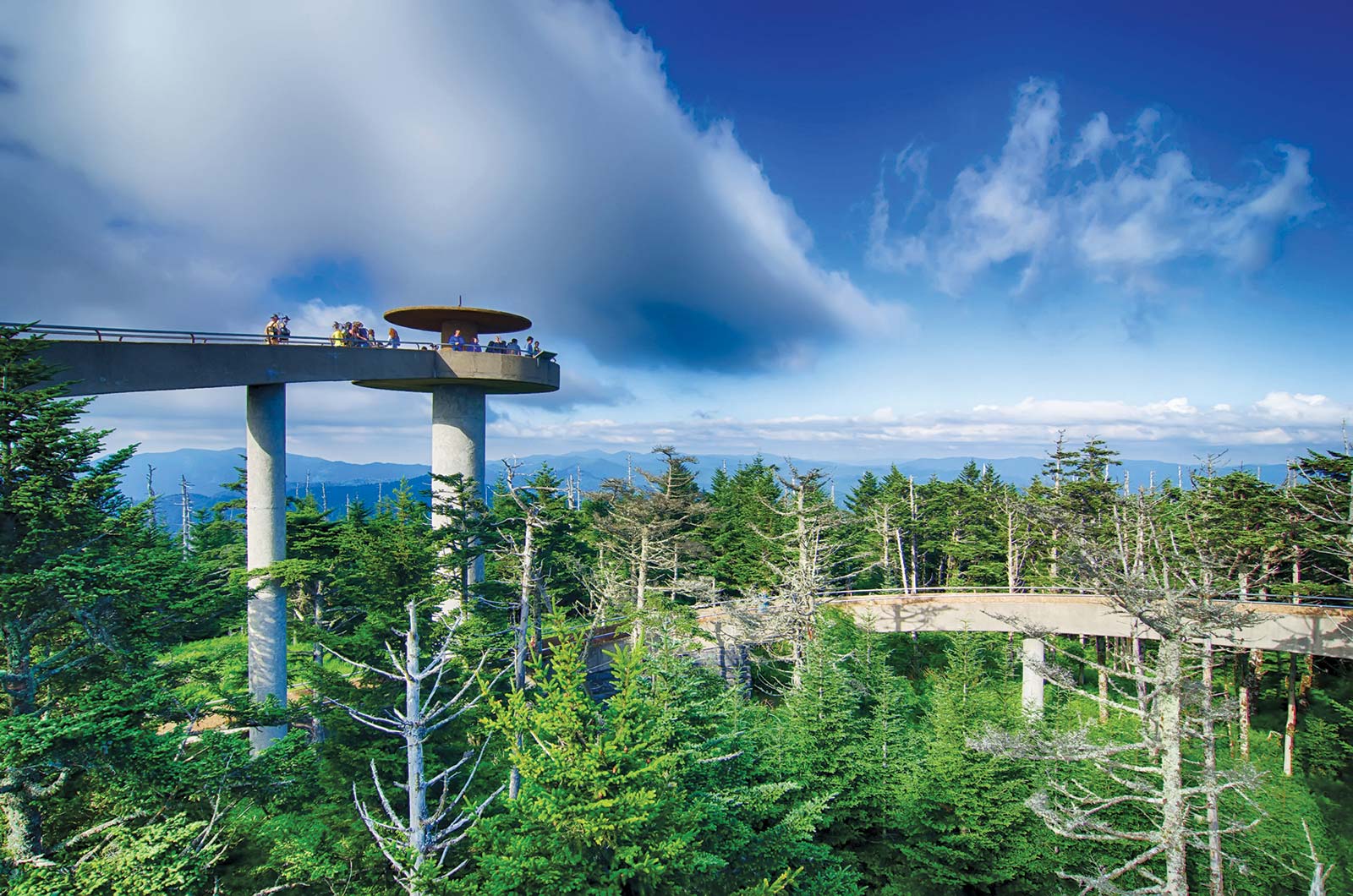 Clingmans Dome S DOWNTOWN ARCHITECTURE In the early 20th century - photo 12