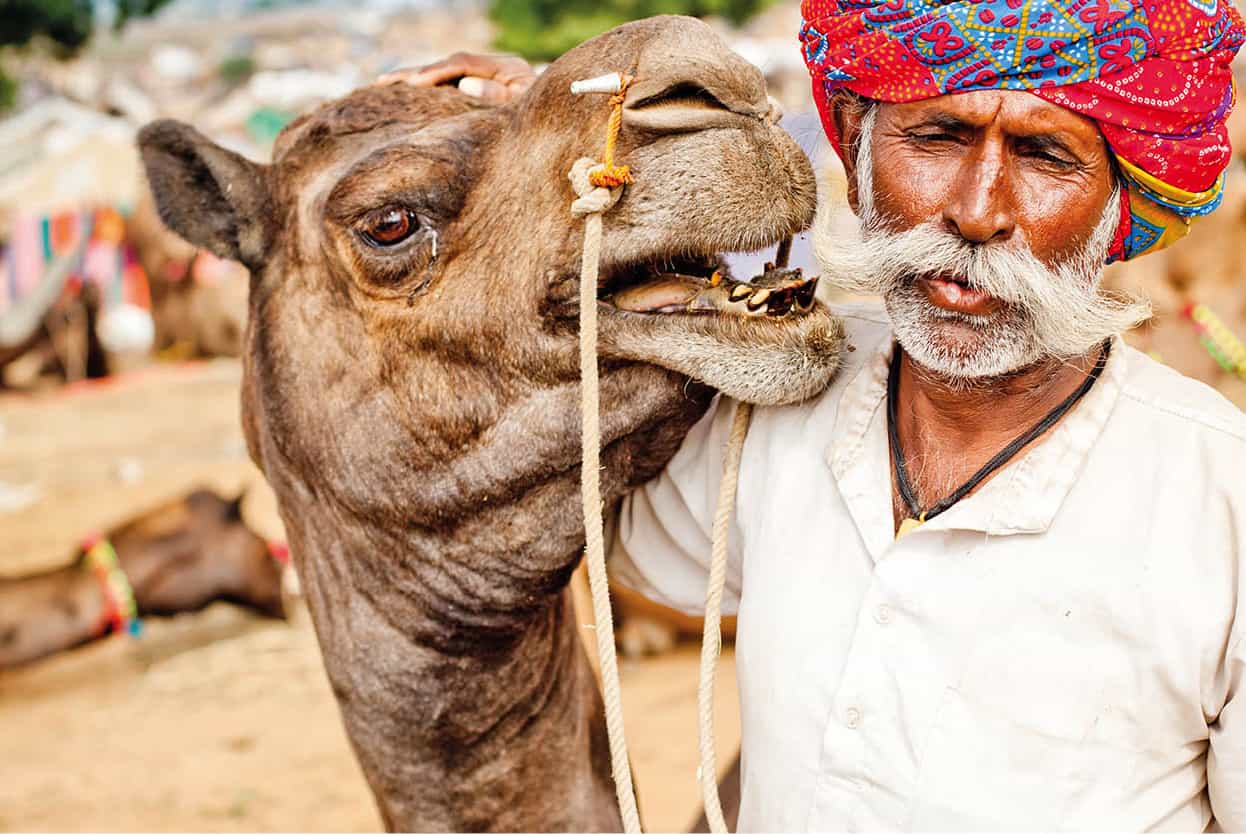 Top Attraction 4 iStock Pushkar Camel Fair The peaceful town of Pushkar sees a - photo 7