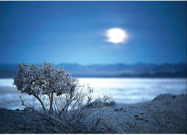 Lake Sage Soda Lake Moonrise Soda Lake Joshua Sunset Kessler Peak For - photo 3