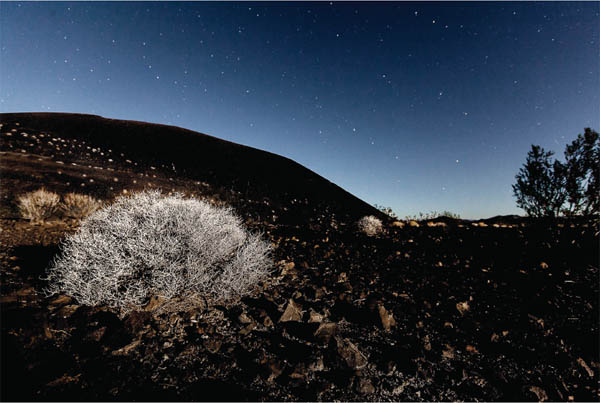 Dipper Cone Cinder Cone Lava Beds Meatballs Silver Peak Easter Rock - photo 6