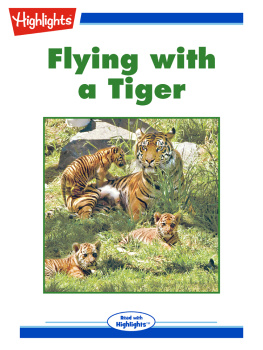 Elana Kopel - Flying with a Tiger