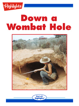 Douglas McInnis Down a Wombat Hole