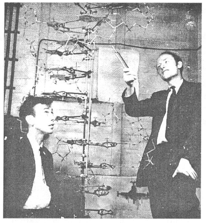 The Watson Crick model of DNA the blueprint for life All information and - photo 3