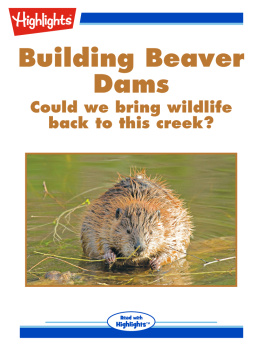 Bryn Fleming Building Beaver Dams