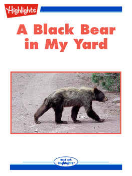 Lynn Murray - A Black Bear in My Yard