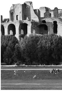 PALATINE HILL TOUR Monte Palatino While many tourists consider the Palatine - photo 5