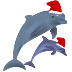 Christmas dolphins Delfines navideos Christmas elf Elfo de navidad - photo 23