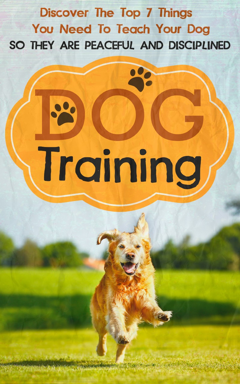 Table of Contents Dog Training Discover The Top 7 Things You Need To Teach - photo 1