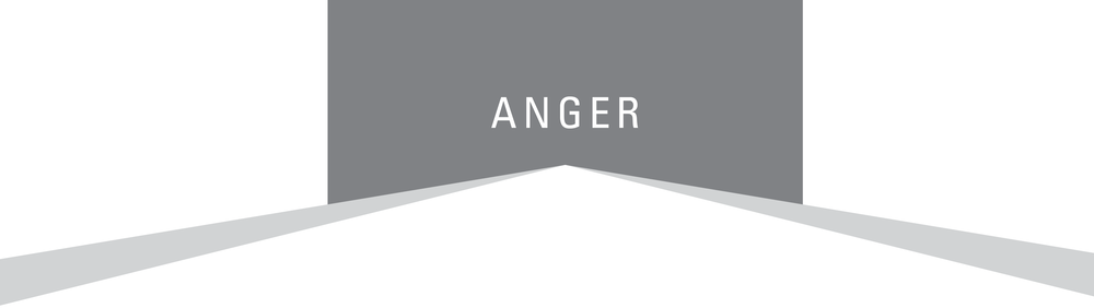 In the stages of grief anger is the second step The first thing that we do is - photo 4