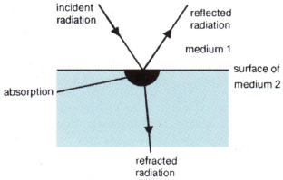 absorption of food Thatomic nume process by which digested food particles - photo 5