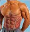 101 Fat-Burning Workouts Diet Strategies For Men Everything You Need to Get a Lean Strong and Fit Physique - photo 8