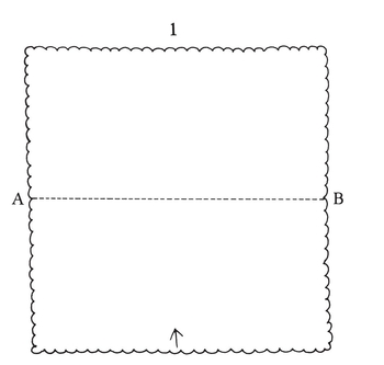 Open the napkin to full size Fold in half on the dotted line bringing the - photo 3