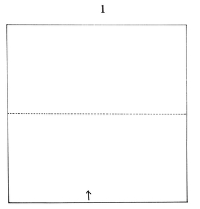 Open the napkin to full size Fold in half on the dotted line bringing the - photo 20