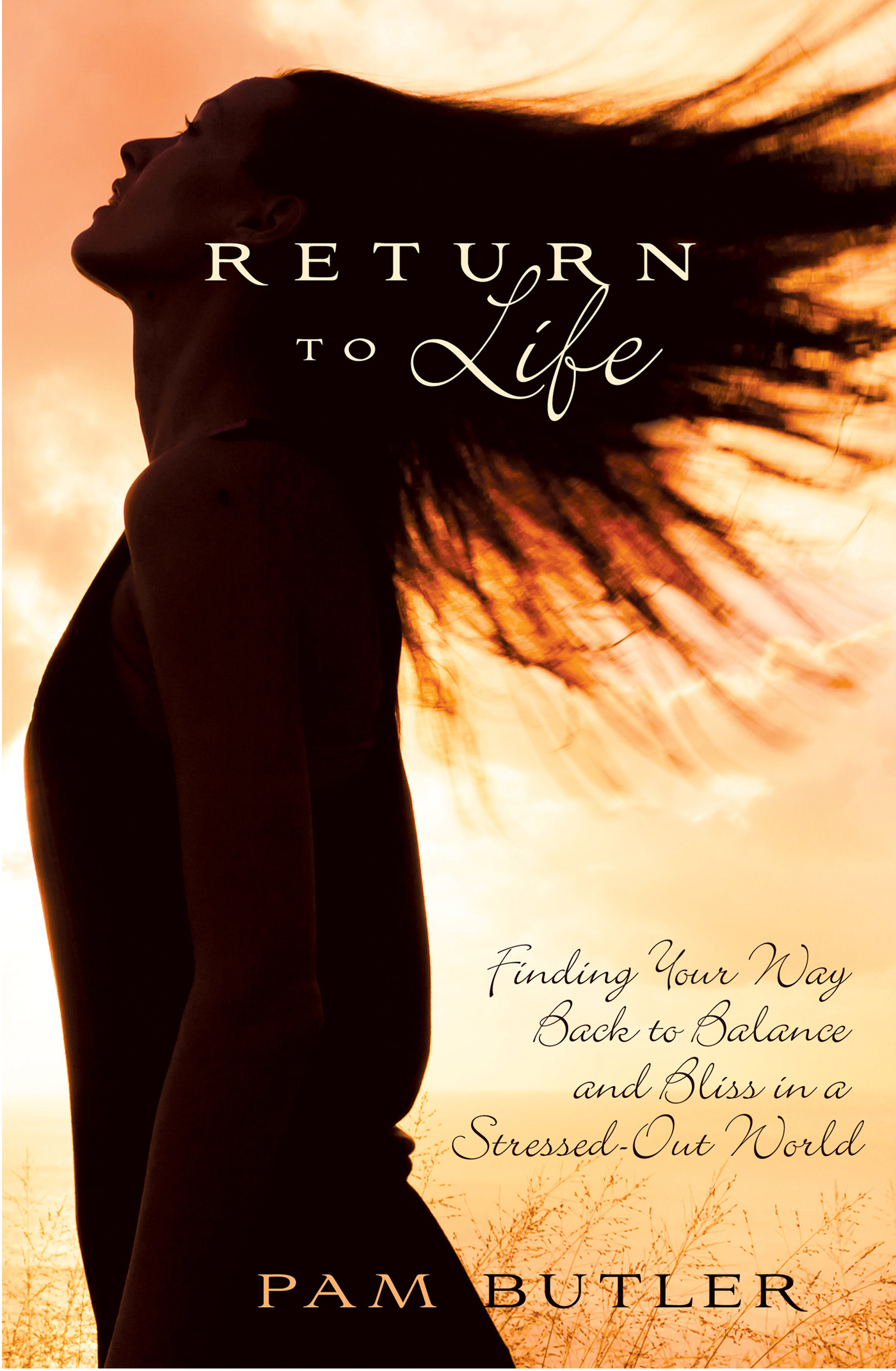 PRAISE FOR Return to Life Return to Life is literally like 10 deep breaths of - photo 1