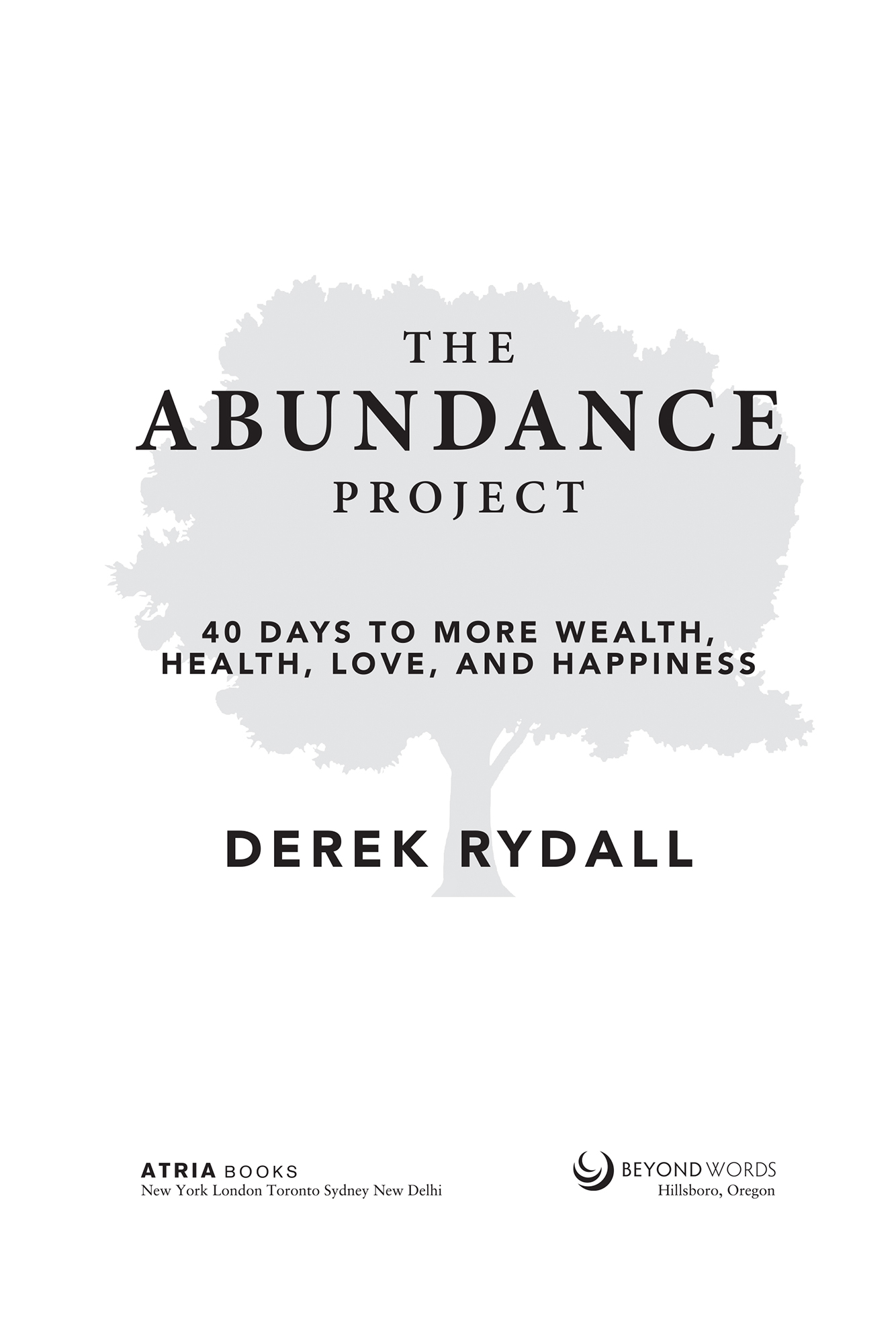 The Abundance Project 40 Days to More Wealth Health Love and Happiness - image 2
