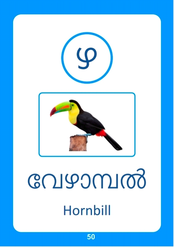 Learn Malayalam Alphabets Numbers - photo 46