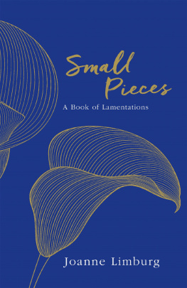 Joanne Limburg Small Pieces: A Book of Lamentations