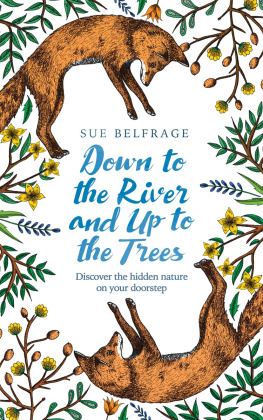 Sue Belfrage - Down to the River and Up to the Trees: Discover the Hidden Nature on Your Doorstep